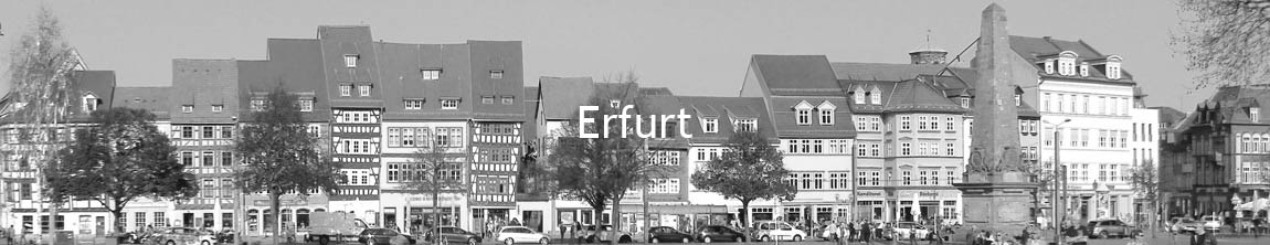 Blick auf Erfurt Altstadt